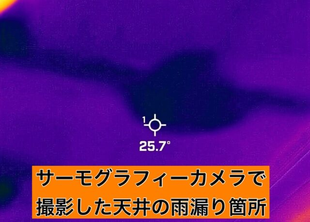 サーモグラフィーカメラで撮影した天井の雨漏り箇所